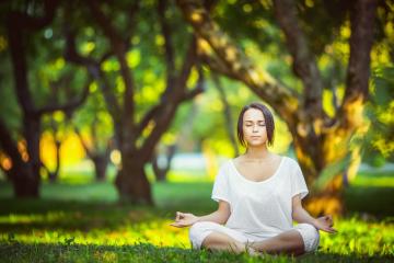 开云体育平台APP-当个人英雄主义遭遇团队铁拳，东契奇的孤勇与国王的胜利法则