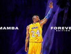 开云体育官方网站-拉沃尔杯，一场超越胜负的网坛盛宴，为何它轻取了年终总决赛的灵魂？