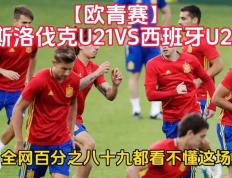 开云体育-斯洛伐克队晋级欧锦赛，挺进胜利之路