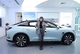 开云体育中国-包含阿尔勒尼斯表现超乎预期，向上攀升的词条