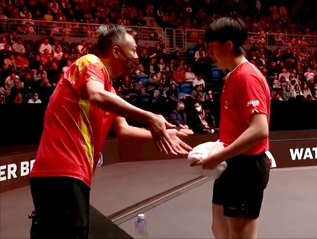 开云官网-比利时乒乓球队鏖战韩国乒乓球队,波尔送出助攻的简单介绍