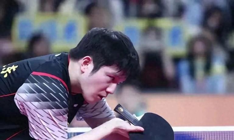 开云体育app-日本乒乓球队绝地反击韩国乒乓球队,樊振东关键制胜的简单介绍